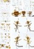 Pontos 35028F1 USS DDG-92 Momsen Flight IIa Detail Up Set 1/350